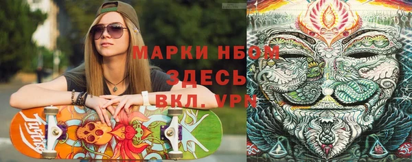 ГАЛЛЮЦИНОГЕННЫЕ ГРИБЫ Осташков