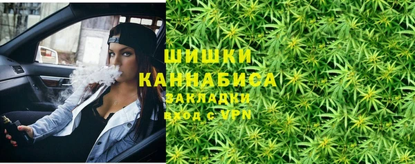 ГАЛЛЮЦИНОГЕННЫЕ ГРИБЫ Осташков